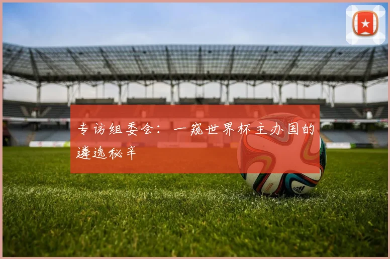 专访组委会：一窥世界杯主办国的遴选秘辛