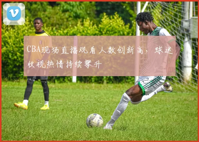 CBA现场直播观看人数创新高，球迷收视热情持续攀升