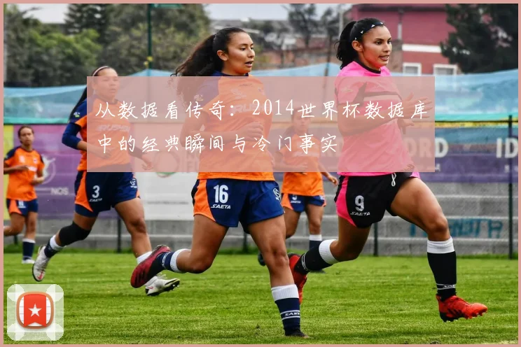 从数据看传奇：2014世界杯数据库中的经典瞬间与冷门事实