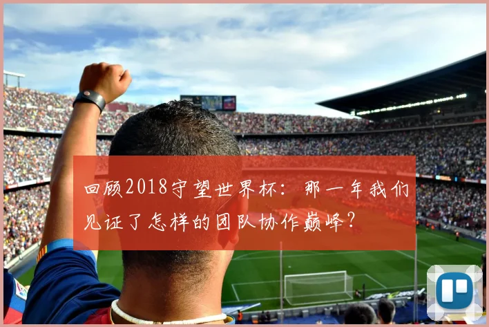 回顾2018守望世界杯：那一年我们见证了怎样的团队协作巅峰？