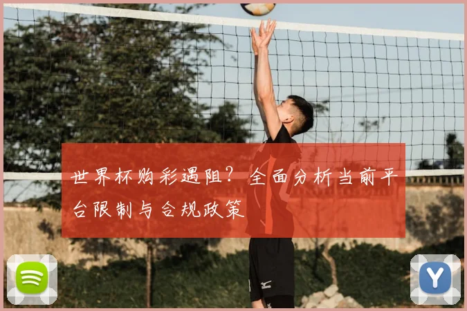 世界杯购彩遇阻？全面分析当前平台限制与合规政策