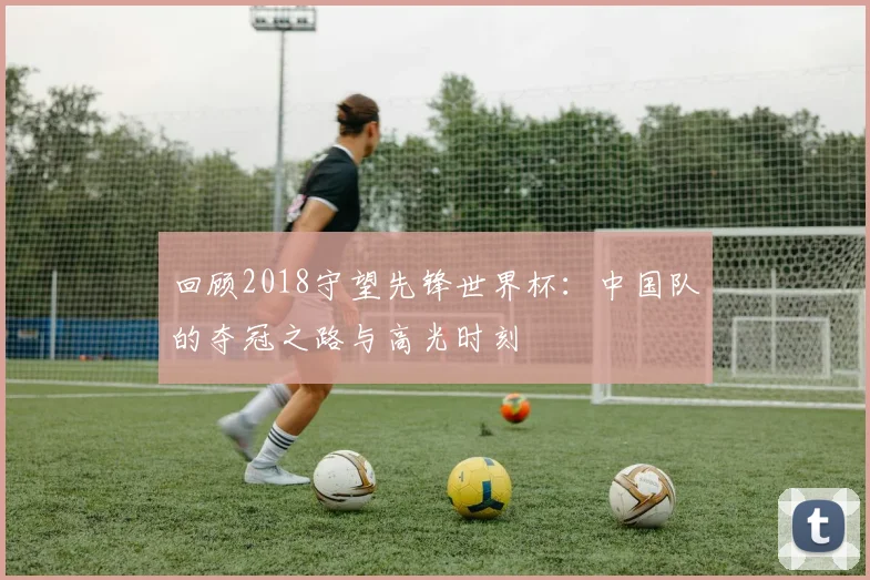 回顾2018守望先锋世界杯：中国队的夺冠之路与高光时刻