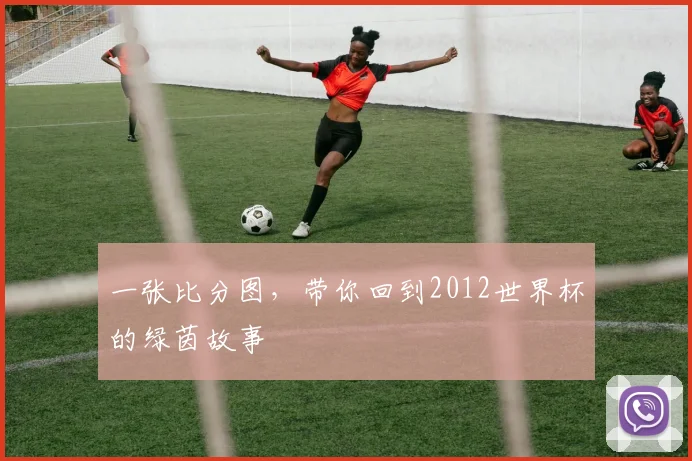 一张比分图，带你回到2012世界杯的绿茵故事