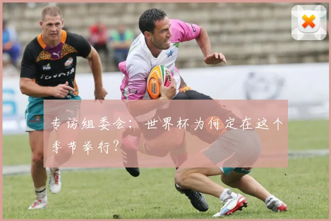 专访组委会：世界杯为何定在这个季节举行？