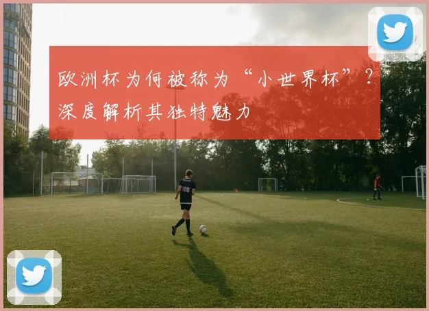 欧洲杯为何被称为“小世界杯”？深度解析其独特魅力