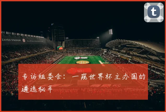 专访组委会：一窥世界杯主办国的遴选秘辛